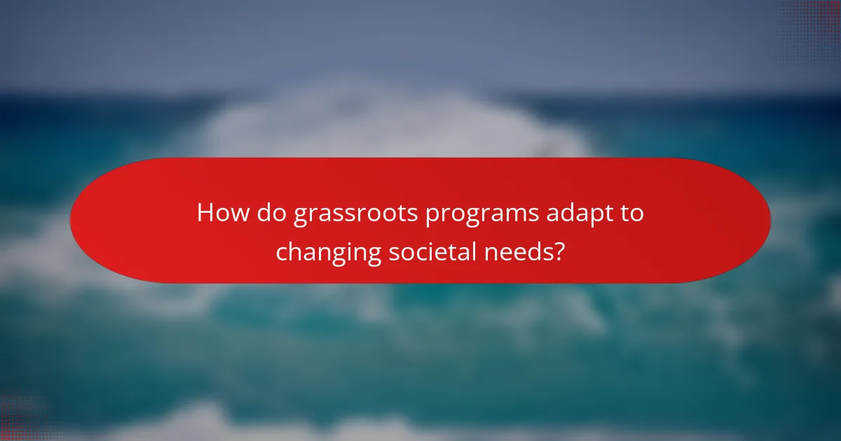 How do grassroots programs adapt to changing societal needs?